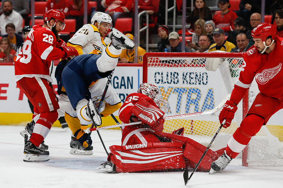 NHL: FEB 20 Predators at Red Wings #10 Photograph by Icon Sportswire