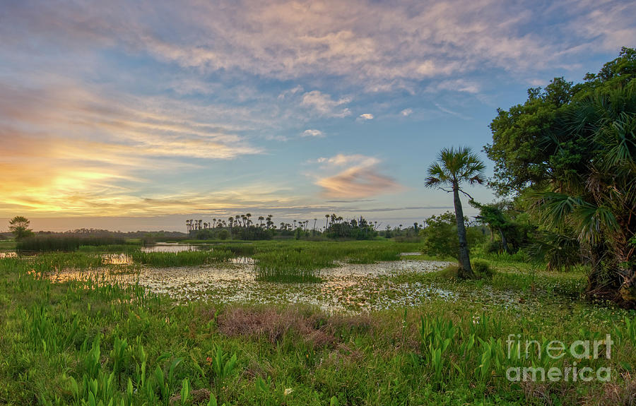 Orlando Sunrise #10 Photograph by Brian Kamprath