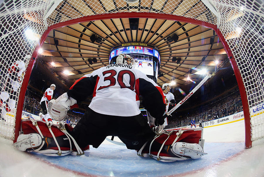 Ottawa Senators v New York Rangers #10 Photograph by Bruce Bennett