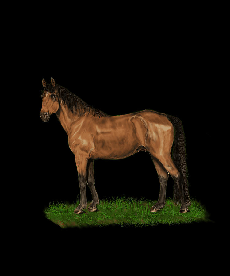 Realistic Horse Illustartion Digital Art by CalNyto - Fine Art America