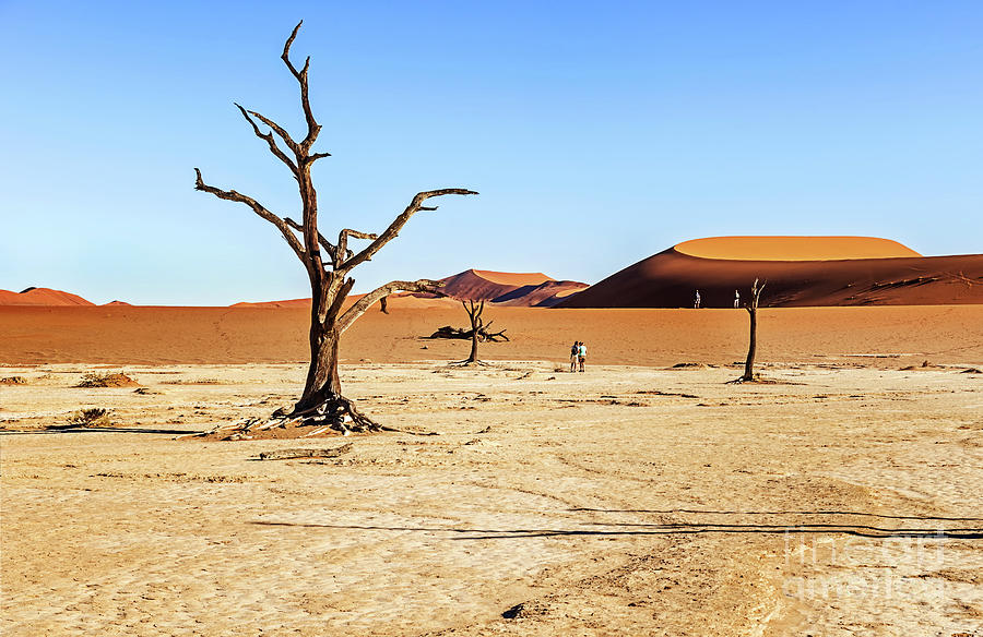 Sand Dune in the Namibian Desert near Sossusvlei in Namib-Nauklu #10 Photograph by Marek Poplawski