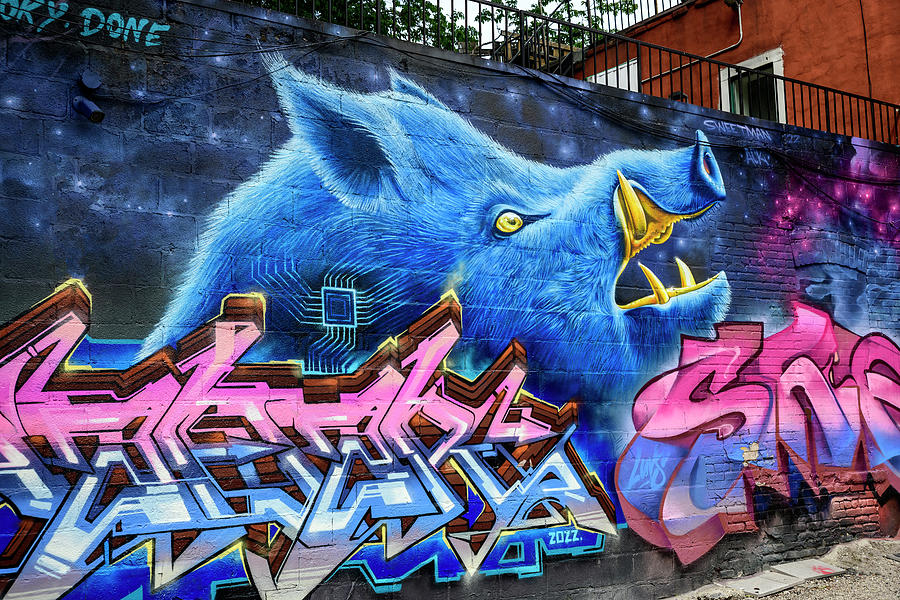 Street Art Graffiti #10 Photograph by Svetlana Sewell
