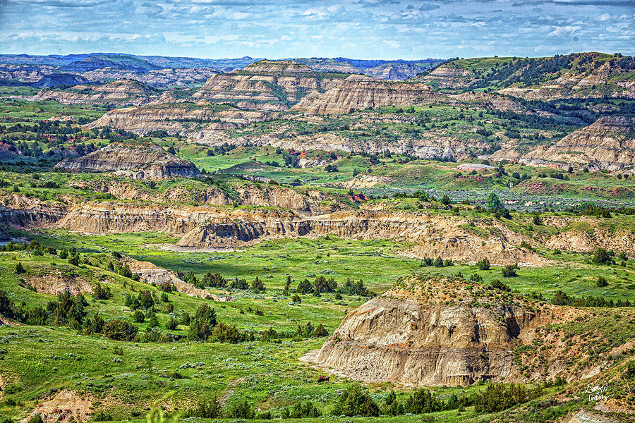 Theodore Roosevelt National Park Photograph by Gestalt Imagery - Fine ...