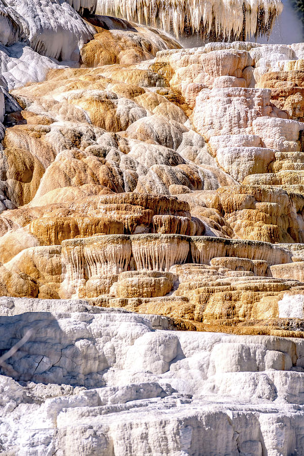 Travertine Terraces, Mammoth Hot Springs, Yellowstone #10 Photograph by Alex Grichenko