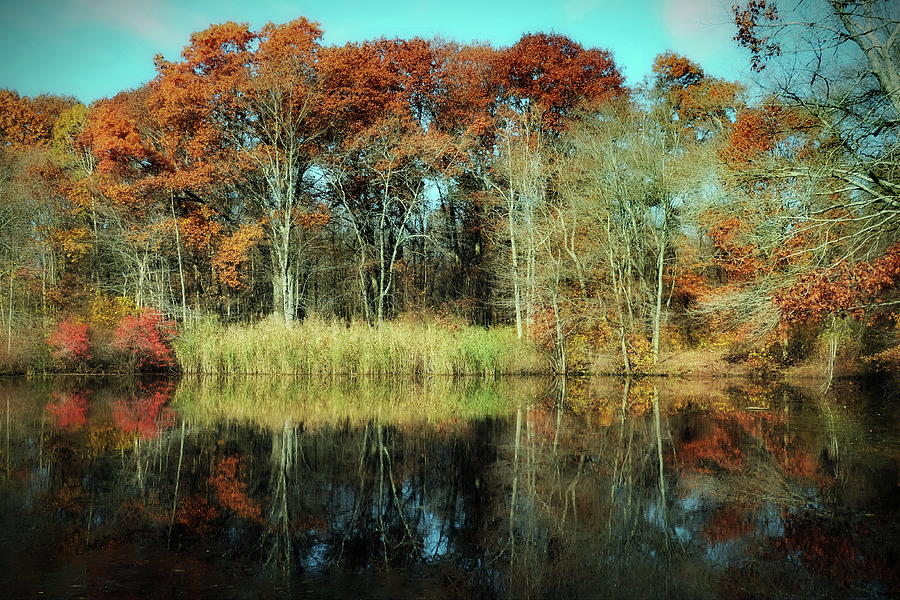 Wigwam Pond, Stratford CT Photograph by Thomas Henthorn - Fine Art America