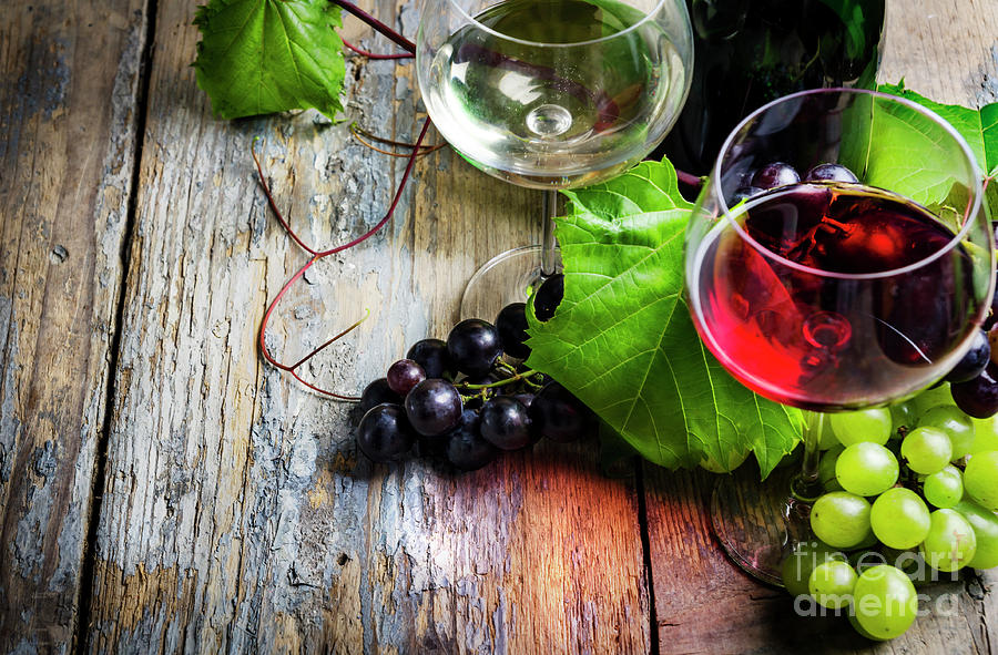 Wine #10 Photograph by Jelena Jovanovic