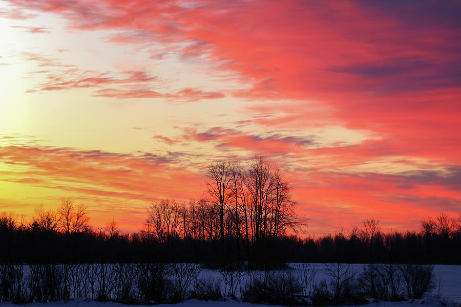 Winter Sunrise #10 Photograph by Brook Burling