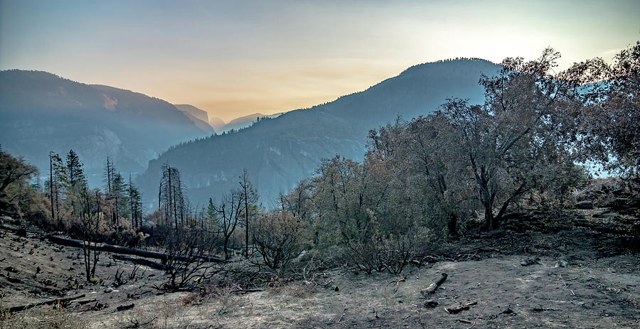 Yosemite National Park In California Early Morning Photograph