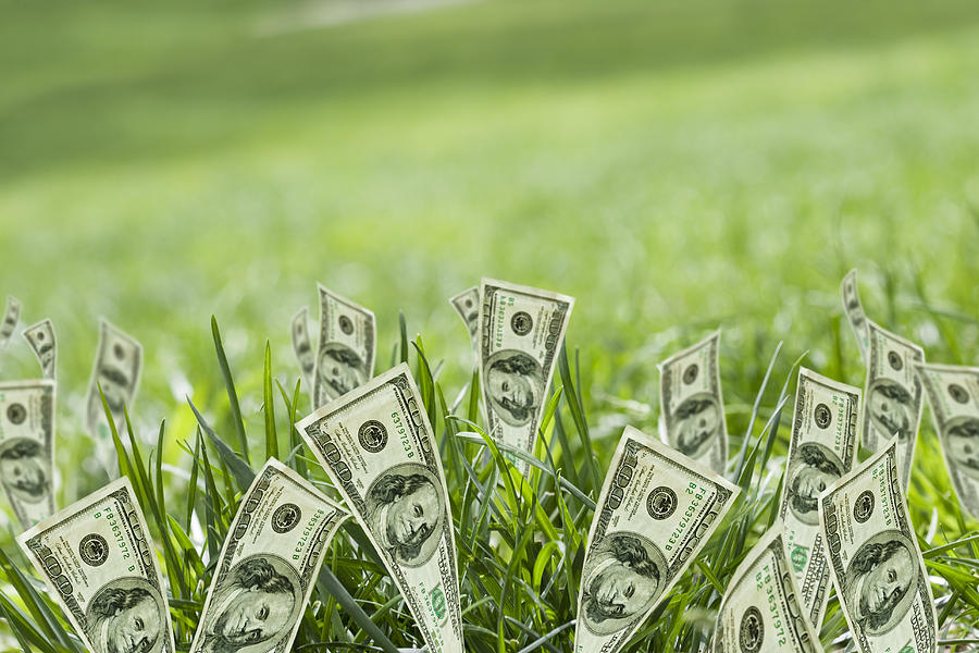 100 Dollar Bills Growing In Grass Photograph by Blend Images - REB Images