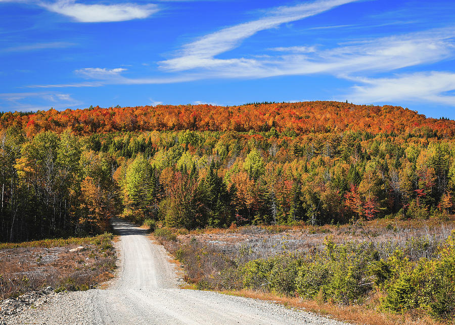 100 Mile Wilderness Dirt Road In Fall Photograph by Dan Sproul