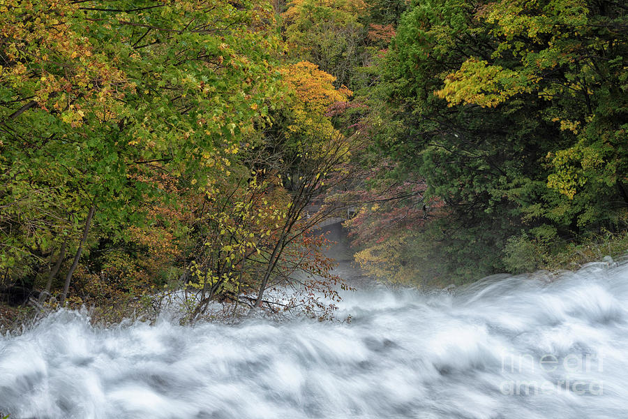 Fall colors of Nikko Japan #103 Photograph by Kiran Joshi