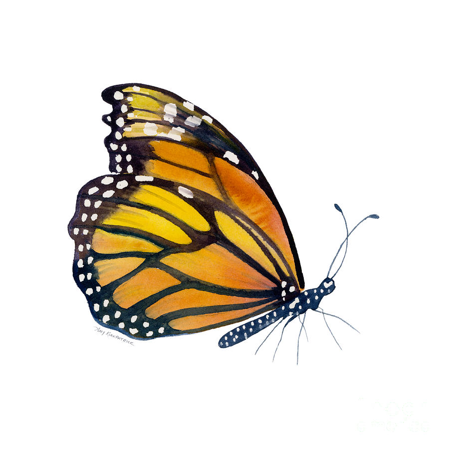 Butterfly Painting - 103 Perched Monarch Butterfly by Amy Kirkpatrick