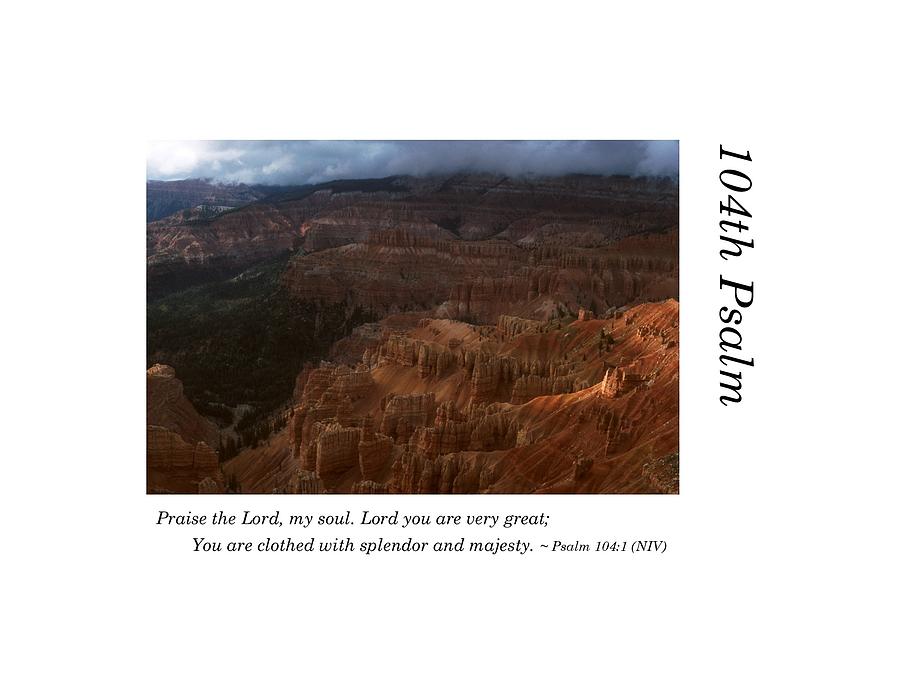 104th Psalm-Cedar Breaks Photograph by Richard Porter