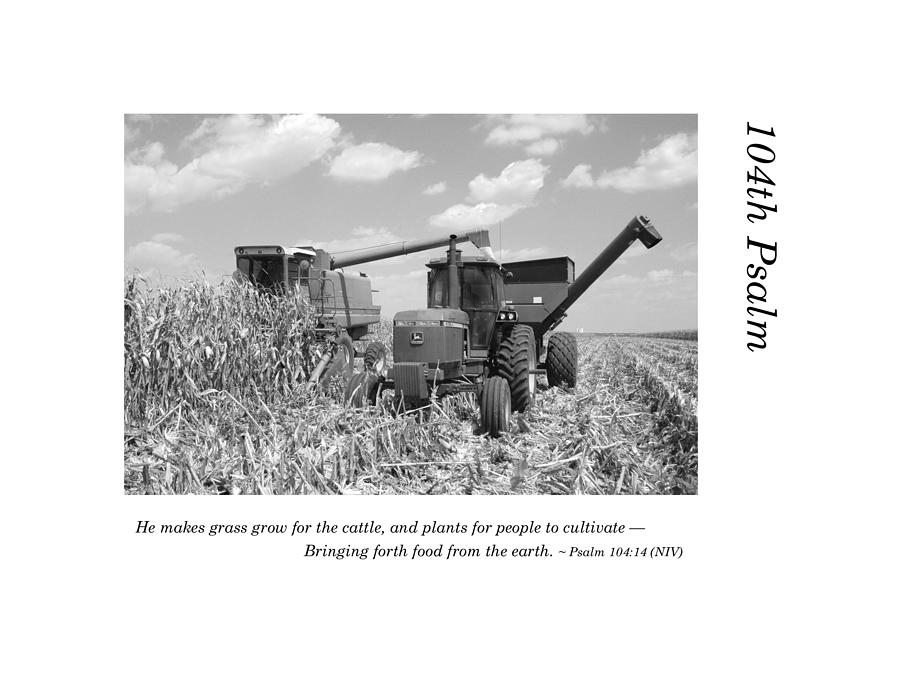 104th Psalm-Corn Harvest 1 Photograph by Richard Porter