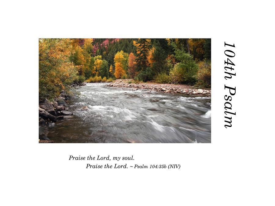 104th Psalm-Foliage and Stream Photograph by Richard Porter