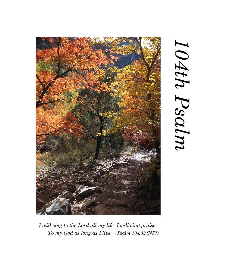 104th Psalm-Trail Through Fall Foliage Photograph by Richard Porter