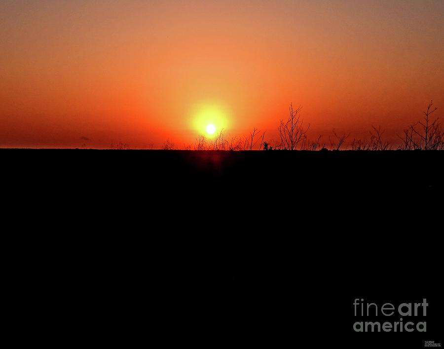 105 Lacassine Sunset Photograph by Lizi Beard-Ward