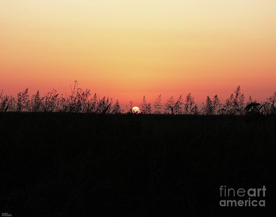 106 Lacassine Sunset Photograph by Lizi Beard-Ward