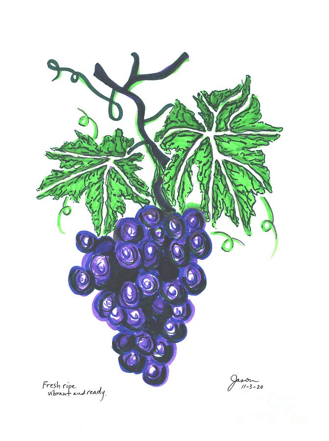 11-03-2020 Fresh ripe vibrant and ready.  Drawing by Jason Winfrey