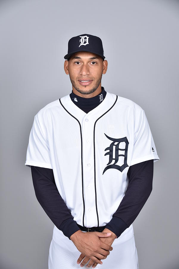 2018 Detroit Tigers Photo Day #11 Photograph by Tony Firriolo