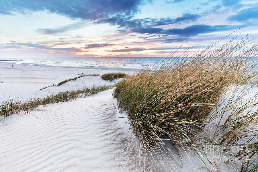 Beach grass on dune, Baltic sea at sunset #11 Photograph by Michal Bednarek