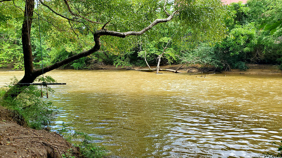 Cahaba River Walk Park #11 Photograph by Kenny Glover