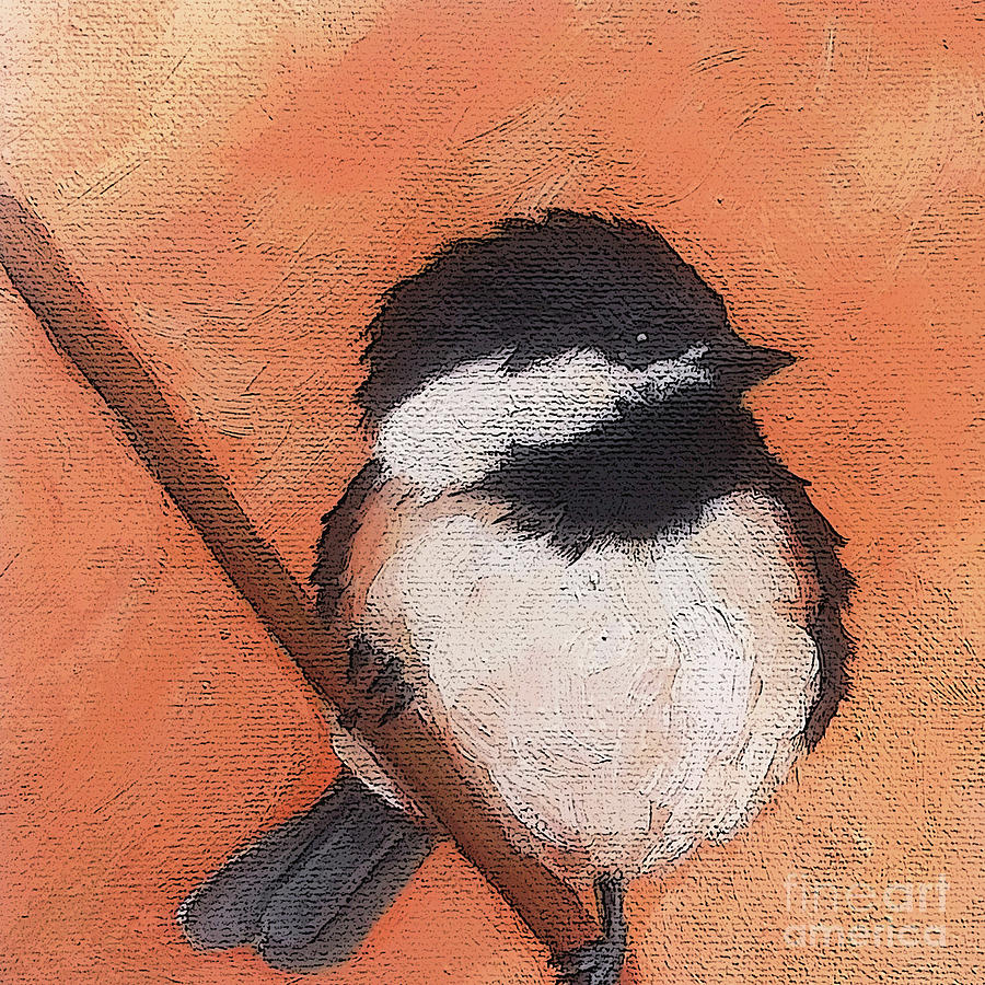11 Chickadee Painting by Victoria Page