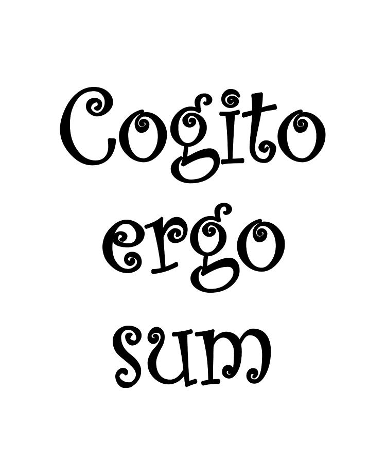 Cogito ergo sum Digital Art by Vidddie Publyshd - Fine Art America