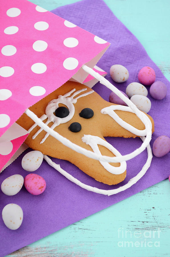 Easter bunny gingerbread cookies #11 Photograph by Milleflore Images