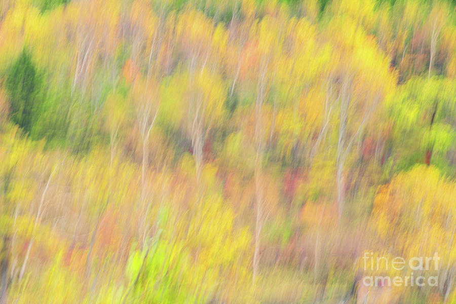 Fall colors of Nikko Japan #11 Photograph by Kiran Joshi