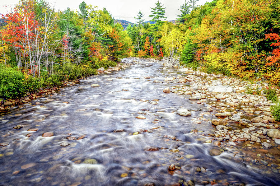 Fall Foliage Massachusetts USA #11 Photograph by Paul James Bannerman