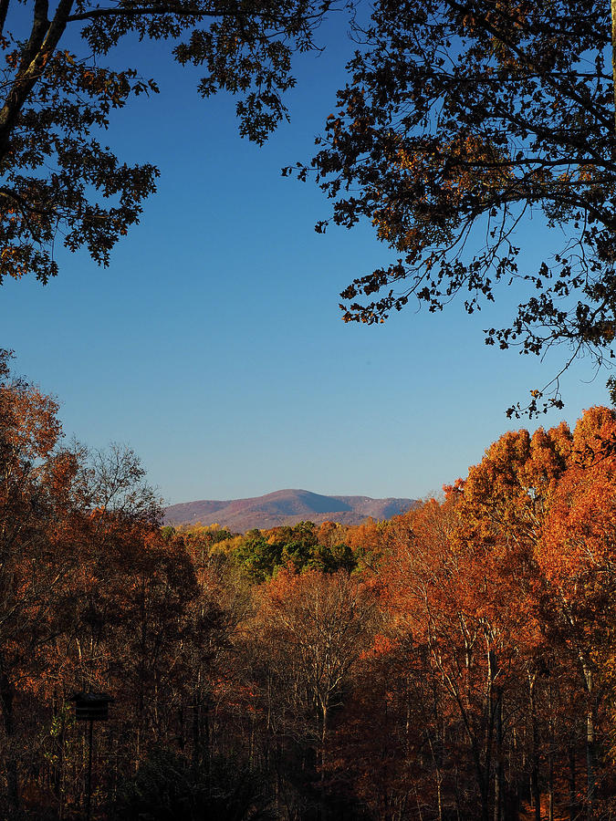 Fall in Gibbs Gardens, GA Photograph by Linda Russell - Fine Art America