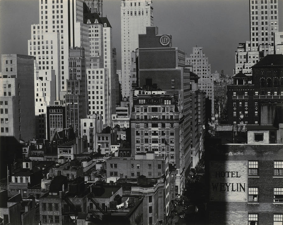 From My Window at An American Place Photograph by Alfred Stieglitz