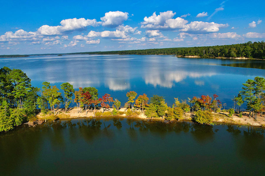 Jordan Lake Photograph by Scotty Alston - Fine Art America