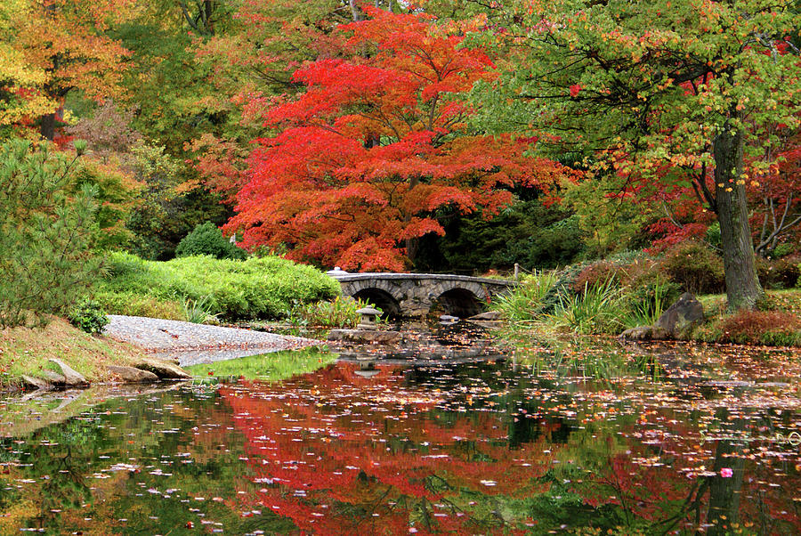 Richmond Photograph - Maymont Japanese Gardens #11 by Jean Haynes