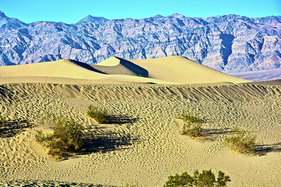 Mesquite Flat Sand Dunes in Death Valley National Park, California ...