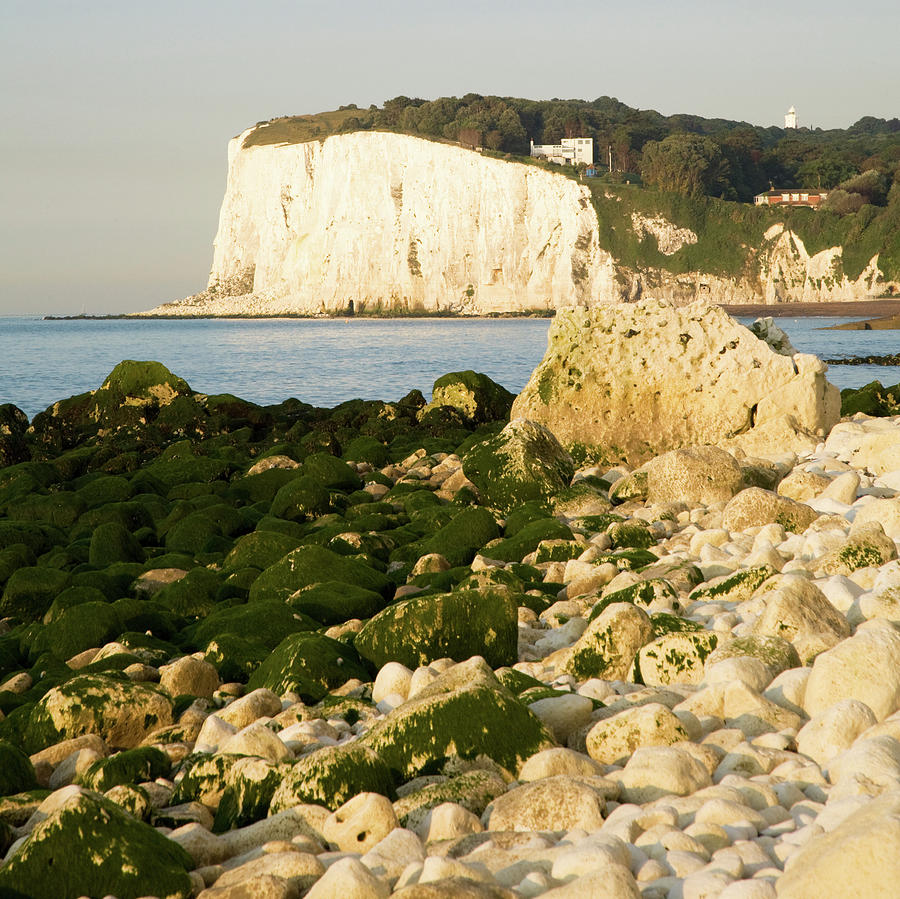 Morning at the White Cliffs of Dover #11 Photograph by Ian Middleton