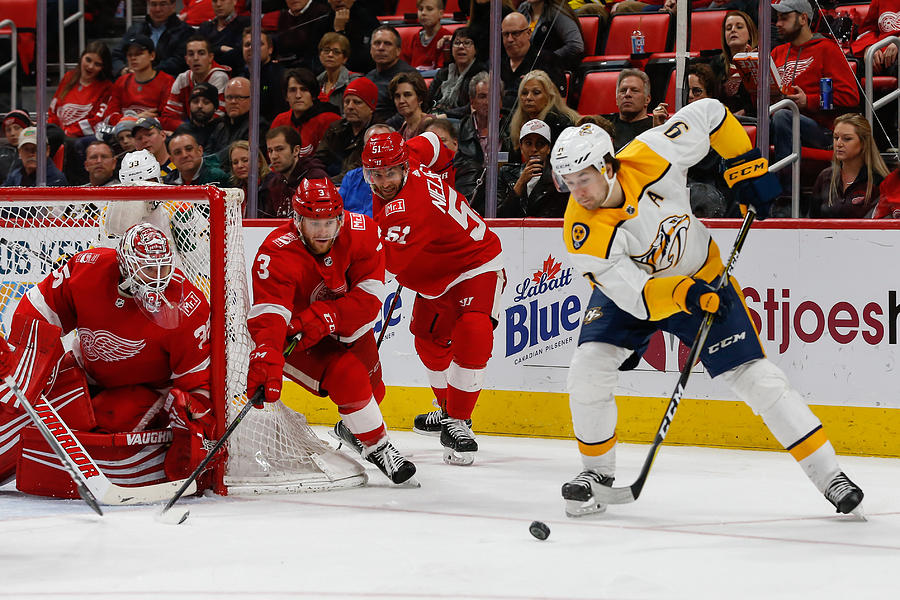 NHL: FEB 20 Predators at Red Wings #11 Photograph by Icon Sportswire