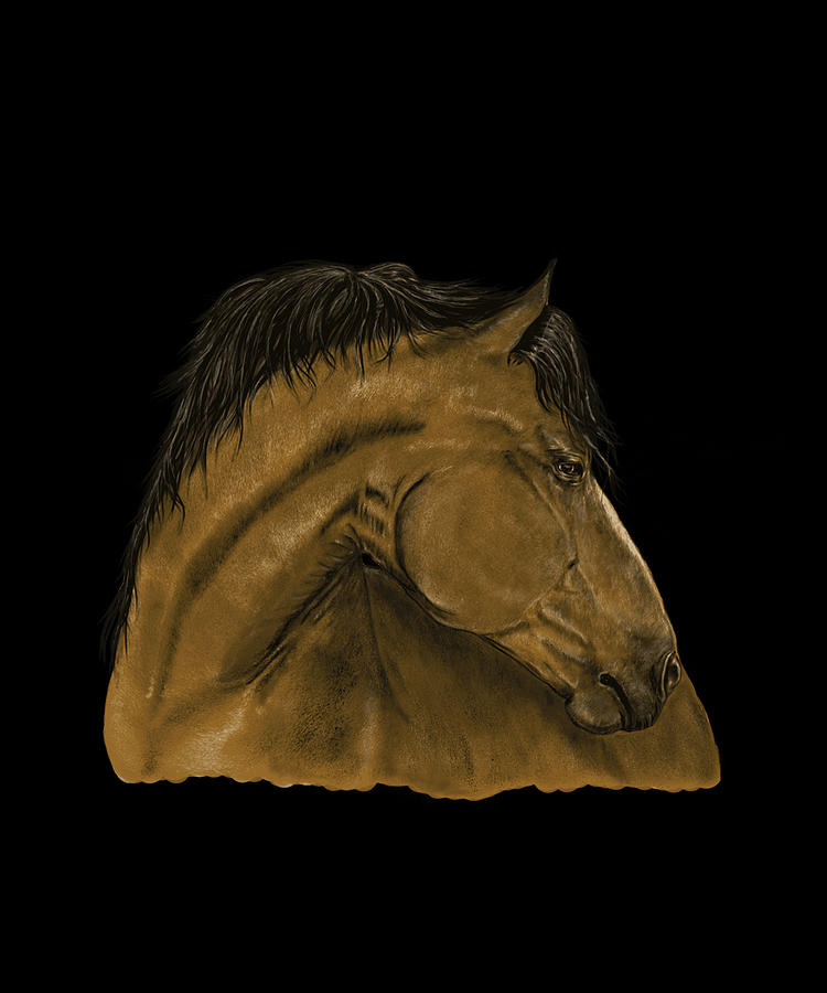 Realistic Horse Illustartion Digital Art by CalNyto - Fine Art America