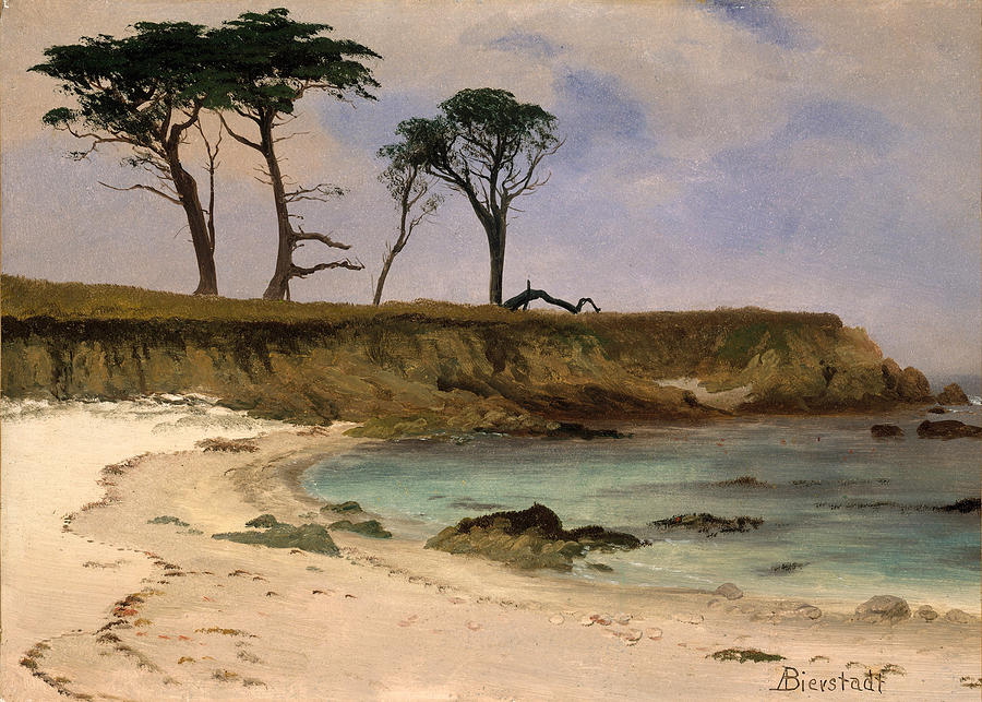 Sea Cove #12 Painting by Albert Bierstadt