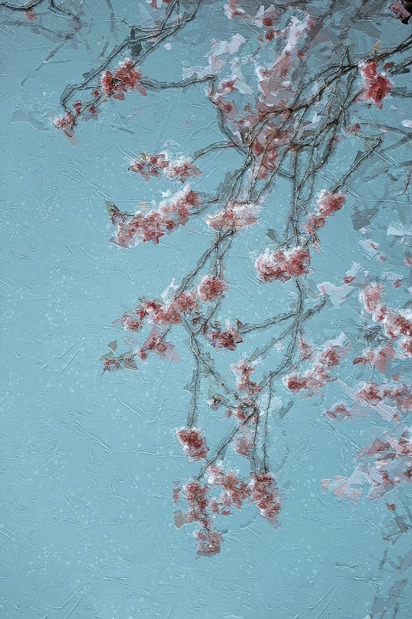 Spring is Here #11 Digital Art by TintoDesigns