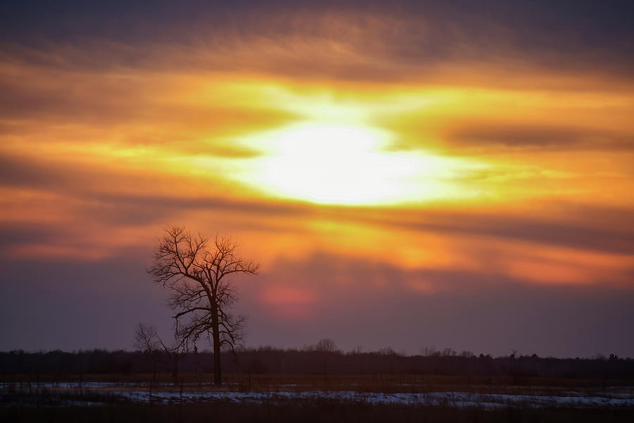 Sunrise #11 Photograph by Brook Burling