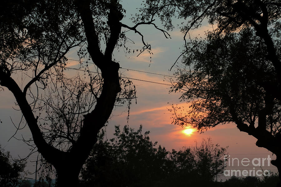 Sunset  #11 Photograph by Kiran Joshi