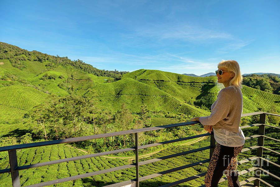 tea plantation of Cameron Highlands in Malaysia #11 Digital Art by Benny Marty
