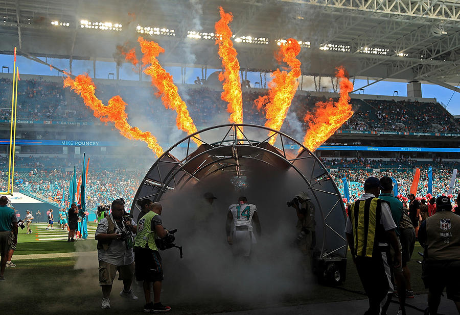 Tennessee Titans v Miami Dolphins #11 Photograph by Mike Ehrmann