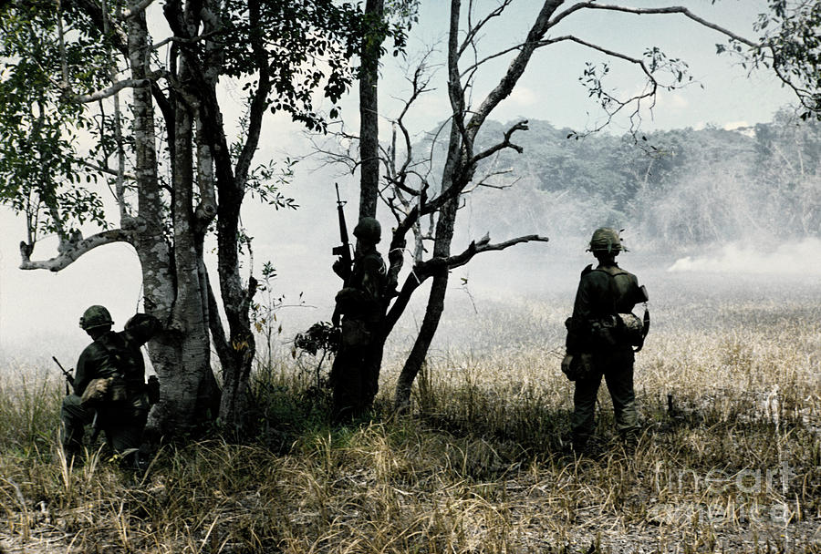 Vietnam War, 1966 #11 Photograph by Granger