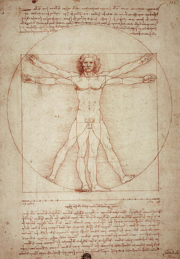 Leonardo Da Vinci Painting - Vitruvian Man by Leonardo Da Vinci