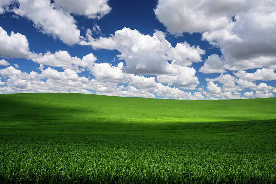 Windows XP Bliss-like Photograph by Neal G - Pixels