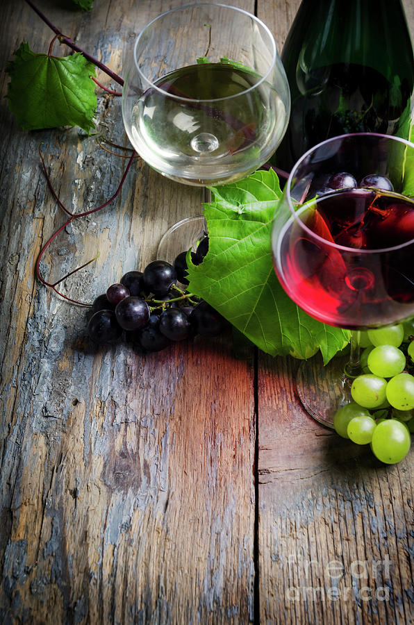 Wine Photograph - Wine #11 by Jelena Jovanovic