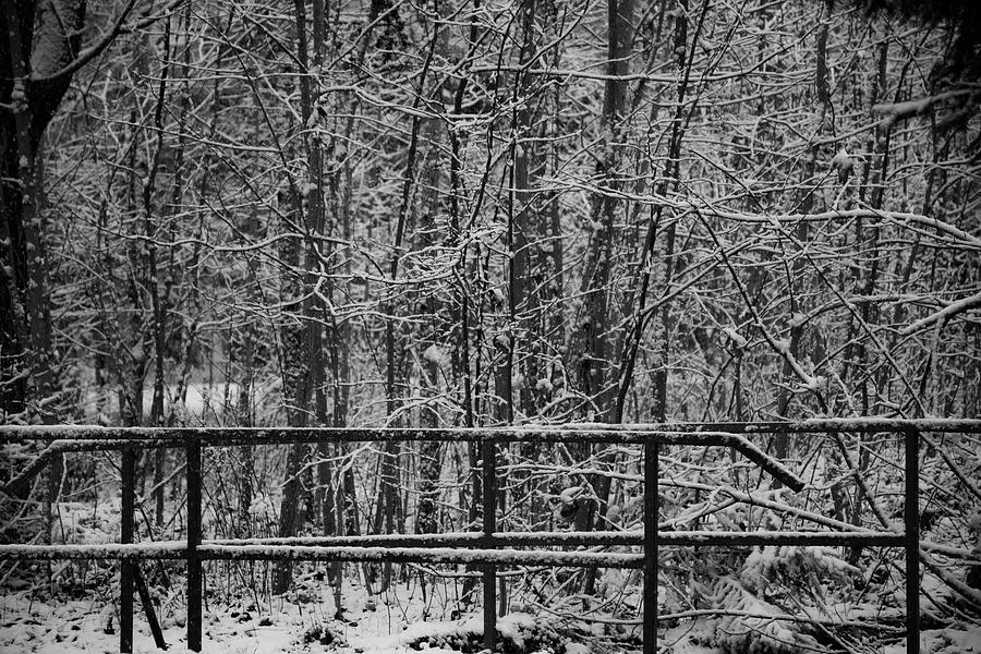 Winter wonderland #111 Photograph by Robert Grac Winter wonderland #111 Photograph by Robert Grac